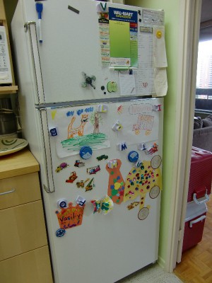 холодильник снаружи.JPG