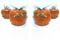 помидоры маринованные2.jpg