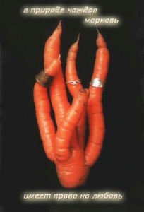 любовь-морковь.jpg